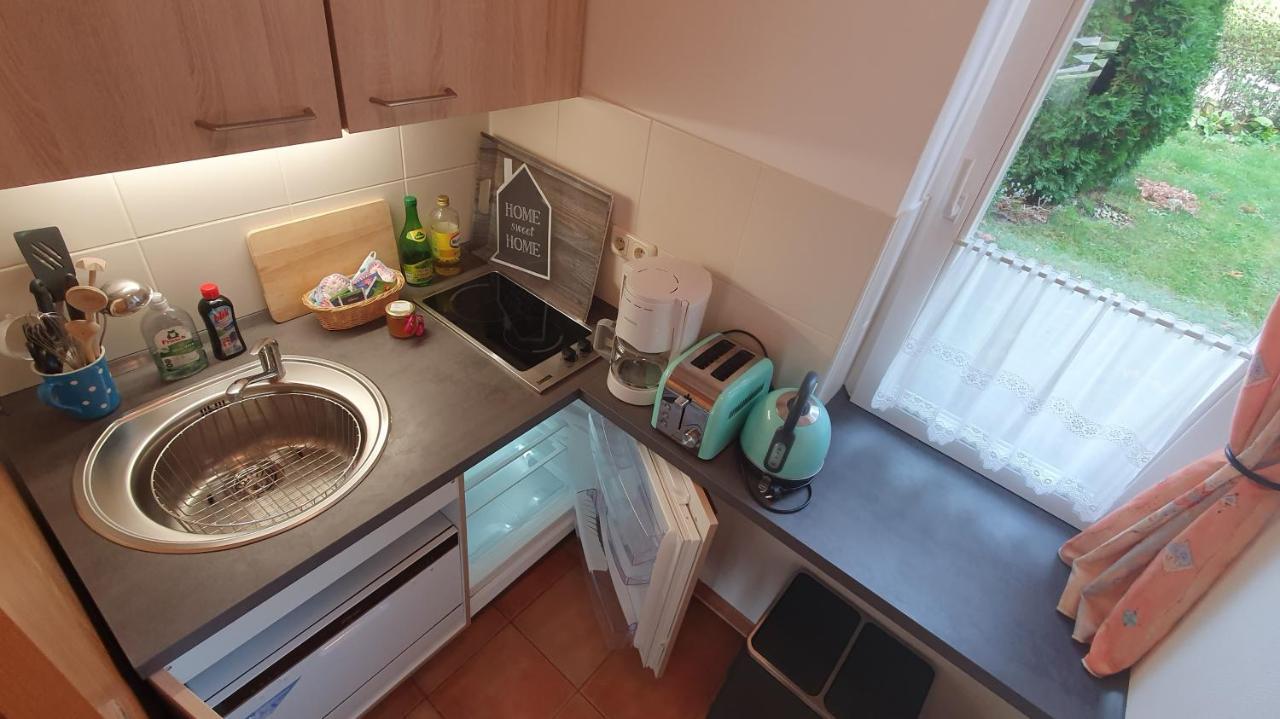 דרזדן Ferienwohnung Am Dresdner Elbhang מראה חיצוני תמונה