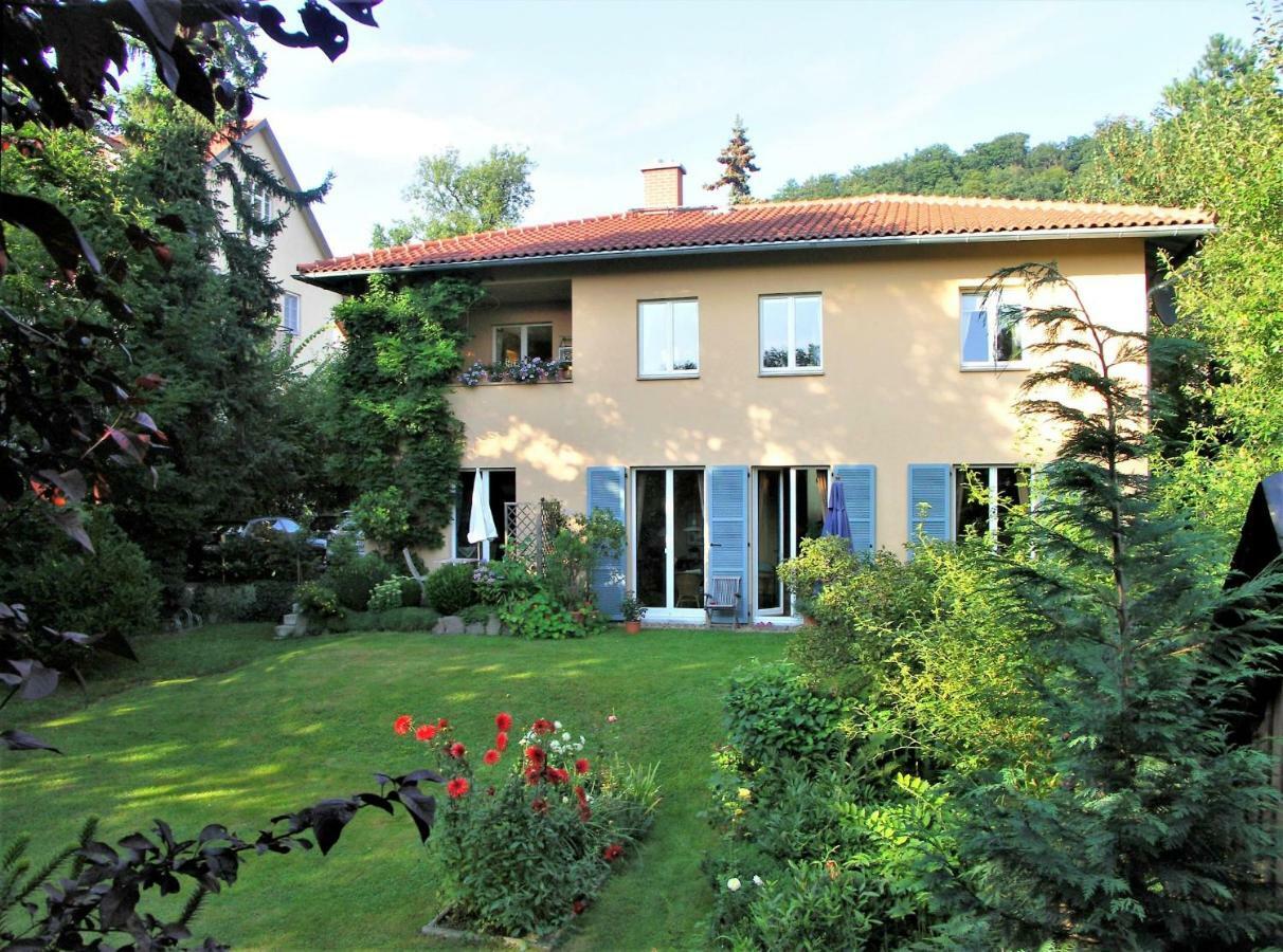 דרזדן Ferienwohnung Am Dresdner Elbhang מראה חיצוני תמונה